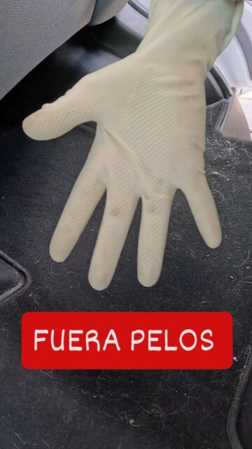 No gastes más: Limpia las alfombrillas de tu autocaravana así

#vanlife #autocaravana #camper

Eliminar los pelos de perro incrustados en las alfombrillas de la autocaravana suele ser una pesadilla que ni el mejor aspirador soluciona. Olvida los gadgets caros y los métodos milagrosos de 30 euros. La solución definitiva cuesta solo 60 céntimos y probablemente ya la tienes en casa: un guante de goma de fregar. En este video te muestro en tiempo real cómo arrastrar la suciedad más difícil sin trucos de edición.